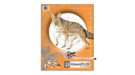 Lot de dix cibles posters...