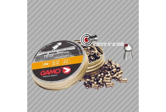 Plombs Gamo TS-22 long distance - 5.5 mm