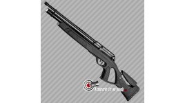 Carabine PCP Gamo Coyote Carabine a Plomb