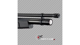 Carabine PCP Gamo Coyote Carabine a Plomb