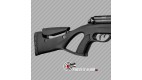 Carabine PCP Gamo Coyote Carabine a Plomb