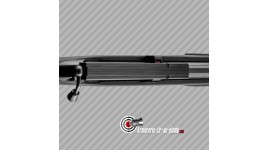 Carabine PCP Gamo Coyote Carabine a Plomb
