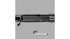 Carabine PCP Gamo Coyote Carabine a Plomb