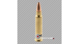 Winchester 17 HMR creuse JHP 20 grains 