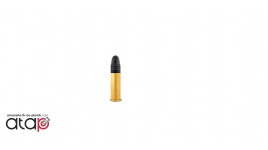 50 cartouches 22 LR Super extra Ogive plombs