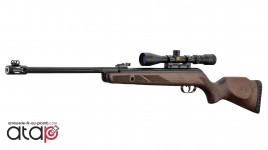 Gamo Hunter 440 AS Avec...
