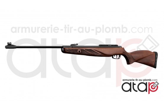 carabine à plomb GAMO Grizzly 1250 en 36 joules
