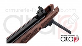 carabine à plomb GAMO Grizzly 1250 en 36 joules