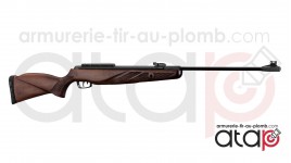 carabine à plomb GAMO Grizzly 1250 en 36 joules