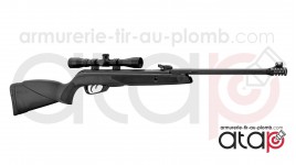 Carabine À Plomb Gamo Black Bear Avec Lunette 4x32