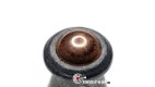 Plombs Gamo Rocket - 5.5 mm