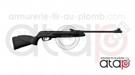 Gamo Big Cat 1000-E IGT - Carabine à Plomb