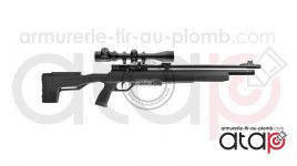 Crosman Icon - Carabine PCP
