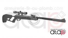 Carabine à plomb Crosman Mag Fire Mission