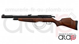 Gamo RISER Punisher carabine PCP 40 joules 5.5 mm