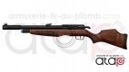 Gamo RISER Punisher carabine PCP 40 joules 5.5 mm