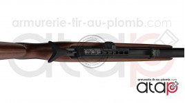 Gamo RISER Punisher carabine PCP 40 joules 5.5 mm