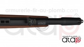 Gamo RISER Punisher carabine PCP 40 joules 5.5 mm
