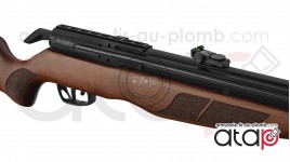 Gamo RISER Punisher carabine PCP 40 joules 5.5 mm