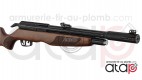 Gamo RISER Punisher carabine PCP 40 joules 5.5 mm