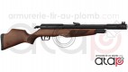 Gamo RISER Punisher carabine PCP 40 joules 5.5 mm