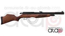 Gamo RISER Punisher carabine PCP 40 joules 5.5 mm