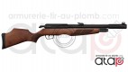 Gamo RISER Punisher carabine PCP 40 joules 5.5 mm