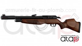 Gamo RISER Punisher carabine PCP 40 joules 5.5 mm