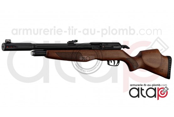 Gamo RISER Punisher carabine PCP 40 joules 5.5 mm