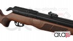 Gamo RISER Punisher carabine PCP 40 joules 5.5 mm