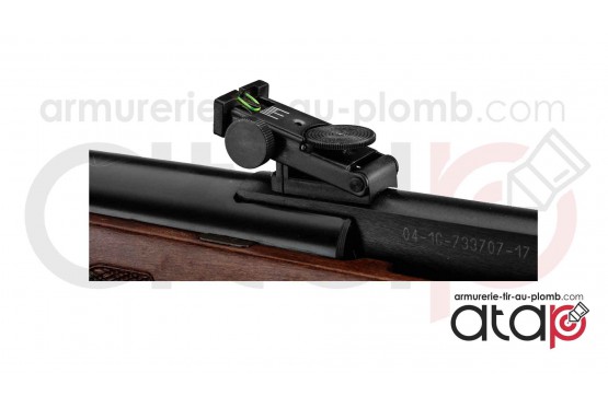 carabine à plomb GAMO Grizzly 1250 en 36 joules
