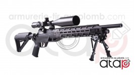 Crosman Armada Carabine a...