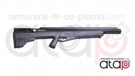 Carabineà plombs PCP Crosman Benjamin Bulldog calibre 0.357