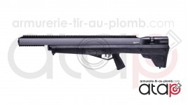 Carabineà plombs PCP Crosman Benjamin Bulldog calibre 0.357