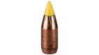 50 Munitions 17 HMR CCI VNT