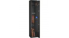 Coffre fort Fortify Delta pour 4 armes longues avec lunette