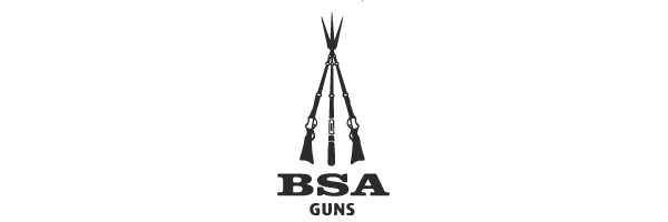 BSA